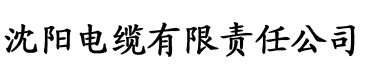 大菠萝官方入口电缆厂logo